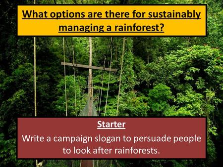What options are there for sustainably managing a rainforest? Starter Write a campaign slogan to persuade people to look after rainforests.