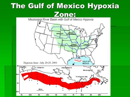 The Gulf of Mexico Hypoxia Zone:. Mississippi River Basin.