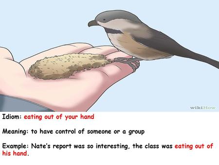 Idiom: eating out of your hand