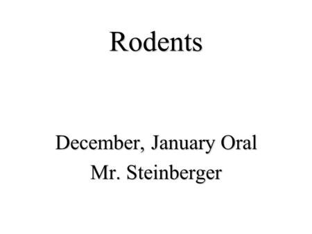 Rodents December, January Oral Mr. Steinberger.