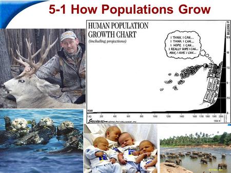 End Show Slide 1 of 22 Copyright Pearson Prentice Hall 5-1 How Populations Grow.