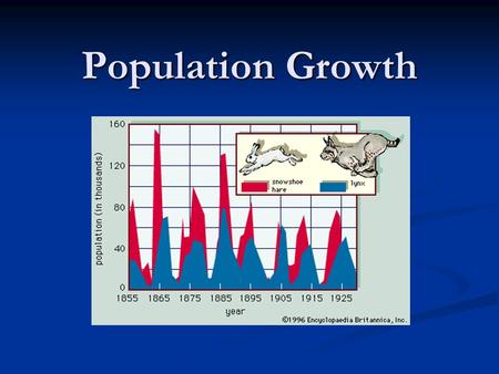 Population Growth. Population Dynamics What types of things affect the size of a population? What types of things affect the size of a population? Immigration: