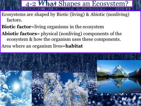 4-2 What Shapes an Ecosystem?