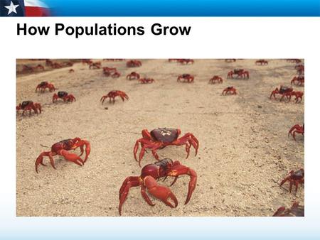 How Populations Grow Read the lesson title aloud to students.