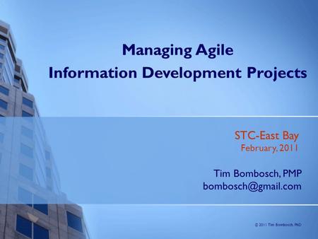 Information Development Projects