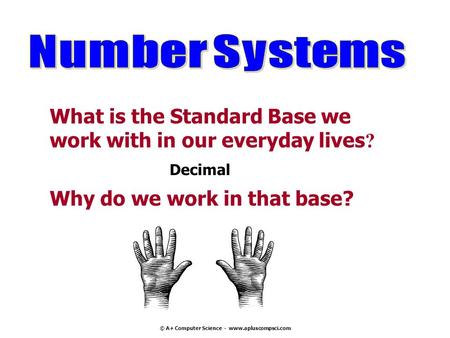 Number Systems What is the Standard Base we
