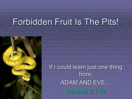 Forbidden Fruit Is The Pits! If I could learn just one thing from: ADAM AND EVE… Genesis 3:1-19.