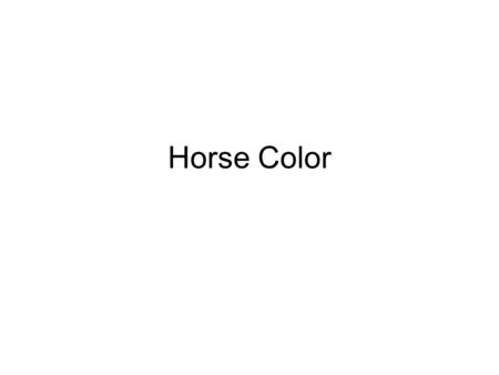 Horse Color. Bay The Bay color pattern is characterized by a black mane and tail black points (black hairs below the knees and hocks, black muzzle, and.
