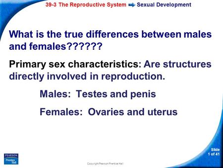 39-3 The Reproductive System Slide 1 of 41 Copyright Pearson Prentice Hall What is the true differences between males and females?????? Primary sex characteristics: