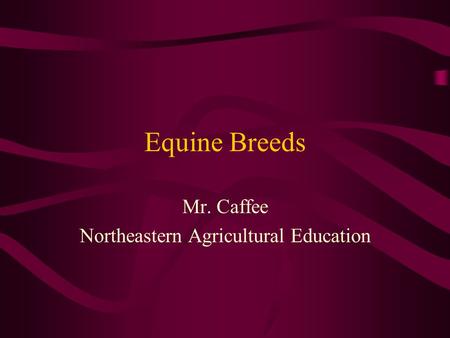 Equine Breeds Mr. Caffee Northeastern Agricultural Education.