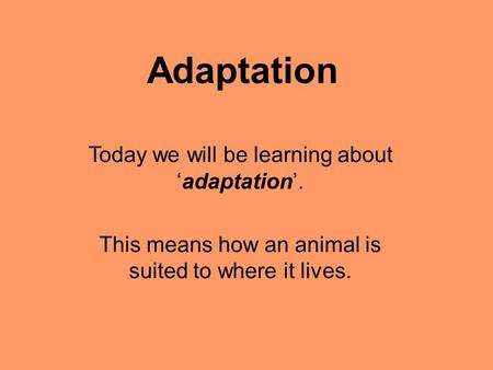 Adaptation Today we will be learning about ‘adaptation’.