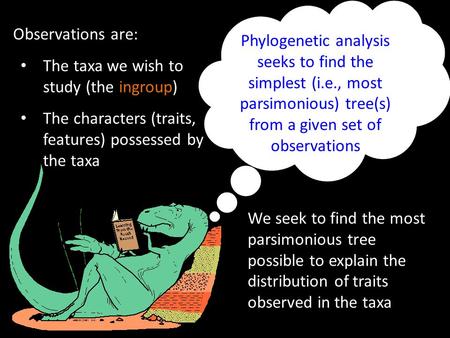 Phylogenetic analysis seeks to find the simplest (i.e., most parsimonious) tree(s) from a given set of observations Observations are: The taxa we wish.