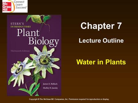 Chapter 7 Lecture Outline Water in Plants Copyright © The McGraw-Hill Companies, Inc. Permission required for reproduction or display.