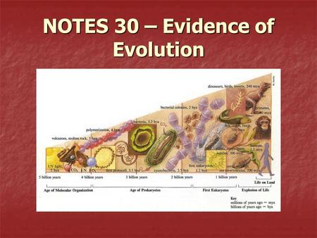 NOTES 30 – Evidence of Evolution