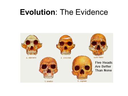 Evolution: The Evidence