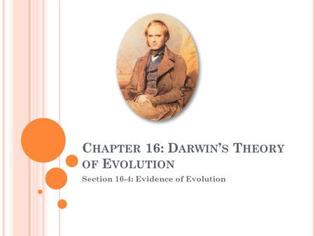 C HAPTER 16: D ARWIN ’ S T HEORY OF E VOLUTION Section 16-4: Evidence of Evolution.