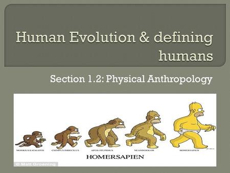 Section 1.2: Physical Anthropology.  https://www.youtube.com/watch?v=faRlF sYmkeY ​ https://www.youtube.com/watch?v=faRlF sYmkeY.