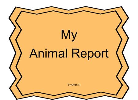 My Animal Report by Aidan C.. Table of Contents Picture ?.................................... p.3 What Does My Animal Look Like?......p.4 What Does My.
