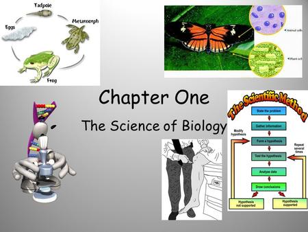 Chapter One The Science of Biology. 1.1 What IS Science?? Science is NOT: a static, unchanging group of facts or beliefs. Science IS: a process of inquiry.