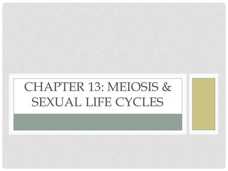 CHAPTER 13: MEIOSIS & SEXUAL LIFE CYCLES. WHAT YOU MUST KNOW The difference between asexual and sexual reproduction. The role of meiosis and fertilization.