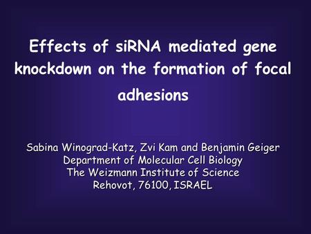 Effects of siRNA mediated gene knockdown on the formation of focal adhesions Sabina Winograd-Katz, Zvi Kam and Benjamin Geiger Department of Molecular.