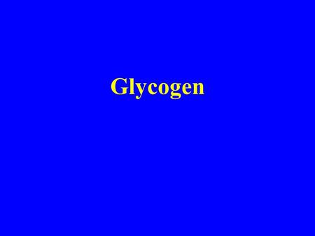 Glycogen. Human liver - 50 g/kg wet wt. Skeletal muscle - 15 g/kg wet wt. Glycogenin = protein core Glycosome ~ ~