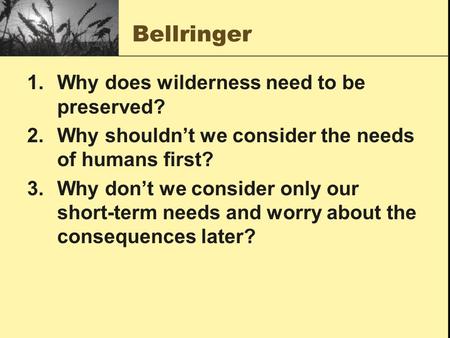 Bellringer Why does wilderness need to be preserved?