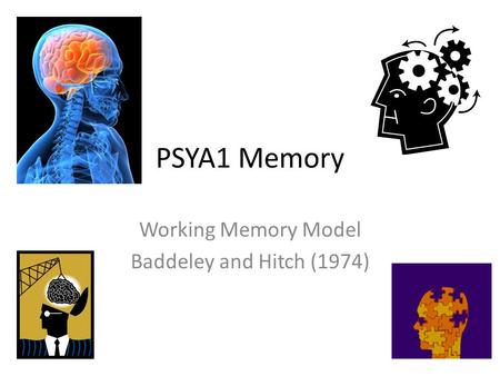 Working Memory Model Baddeley and Hitch (1974)