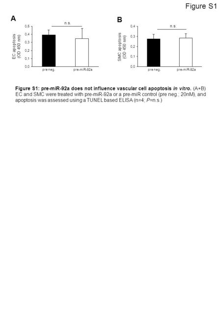 A B pre neg. pre-miR-92apre neg.pre-miR-92a n.s. SMC apoptosis (OD 450 nm) EC apoptosis (OD 450 nm) n.s. Figure S1: pre-miR-92a does not influence vascular.
