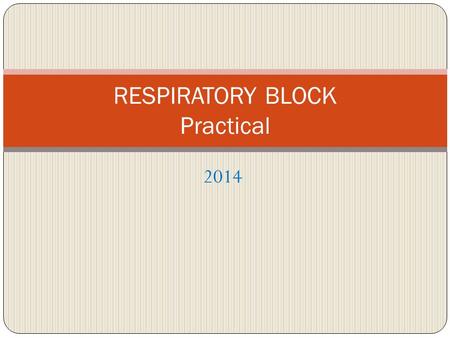 2014 RESPIRATORY BLOCK Practical. Streptococcus pyogenes = Group A Strep Carried by 10-25% of many in throat often no symptoms it is Cause of strep throat.
