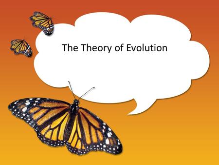 The Theory of Evolution. Evolution a gradual change in the genetic material of a population. (Population = all the animals of the same species living.