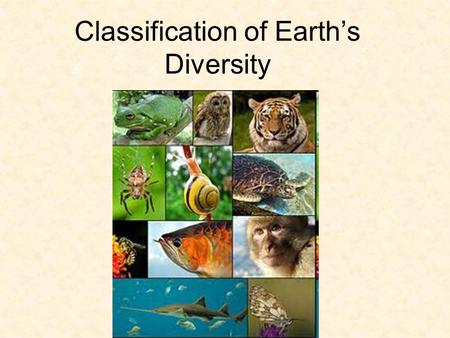 Classification of Earth’s Diversity Biodiversity Biodiversity – the variety of organisms on earth is the result of 3.5 billion years of evolution Approx.