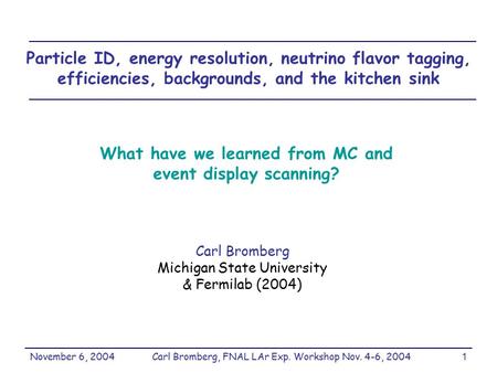 November 6, 2004Carl Bromberg, FNAL LAr Exp. Workshop Nov. 4-6, 20041 Particle ID, energy resolution, neutrino flavor tagging, efficiencies, backgrounds,