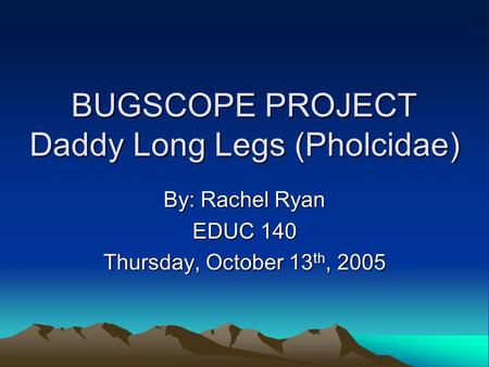 BUGSCOPE PROJECT Daddy Long Legs (Pholcidae) By: Rachel Ryan EDUC 140 Thursday, October 13 th, 2005.