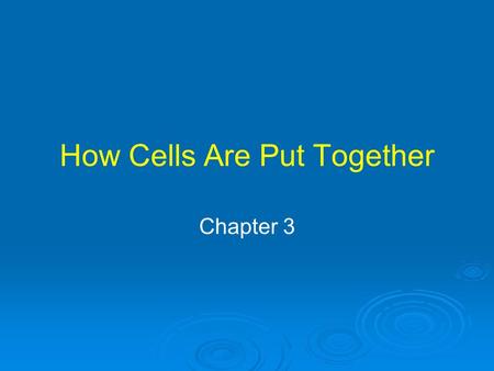 How Cells Are Put Together Chapter 3. Cell Theory Every organism is composed of one or more cells Cell is smallest unit with properties of life Continuity.
