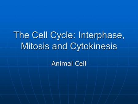 The Cell Cycle: Interphase, Mitosis and Cytokinesis Animal Cell.