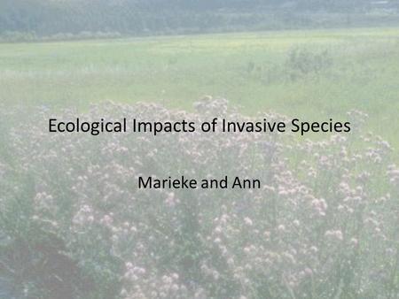 Ecological Impacts of Invasive Species Marieke and Ann.