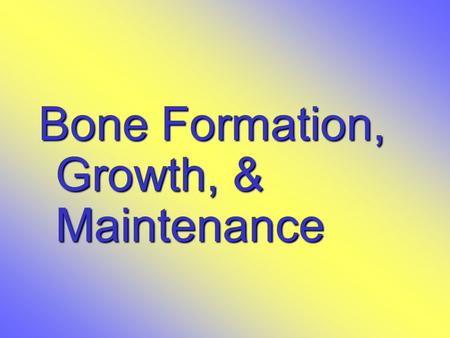 Bone Formation, Growth, & Maintenance. Types of Bone Cells  Osteocytes  Mature bone cells  Osteoblasts  Bone-forming cells  Osteoclasts  Bone-destroying.
