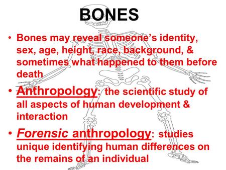 BONES Bones may reveal someone’s identity, sex, age, height, race, background, & sometimes what happened to them before death Anthropology : the scientific.