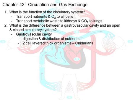 Chapter 42: Circulation and Gas Exchange 1.What is the function of the circulatory system? -Transport nutrients & O 2 to all cells -Transport metabolic.