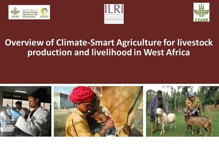 Overview of Climate-Smart Agriculture for livestock production and livelihood in West Africa.