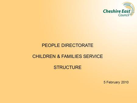 PEOPLE DIRECTORATE CHILDREN & FAMILIES SERVICE STRUCTURE 5 February 2010.