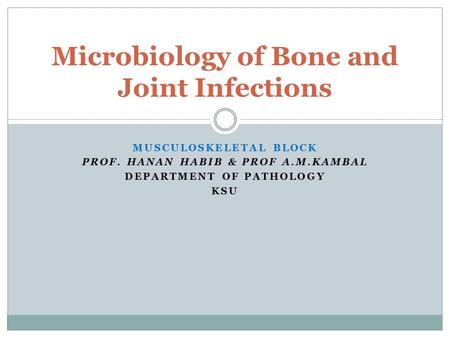MUSCULOSKELETAL BLOCK PROF. HANAN HABIB & PROF A.M.KAMBAL DEPARTMENT OF PATHOLOGY KSU Microbiology of Bone and Joint Infections.