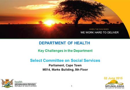 WHEN THE SUN RISES WE WORK HARD TO DELIVER 1 DEPARTMENT OF HEALTH Key Challenges in the Department Select Committee on Social Services Parliament, Cape.