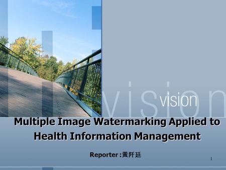 Multiple Image Watermarking Applied to Health Information Management