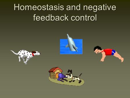 Homeostasis and negative feedback control