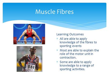 Muscle Fibres Learning Outcomes  All are able to apply knowledge of the fibres to sporting events  Most are able to explain the role of the motor unit.