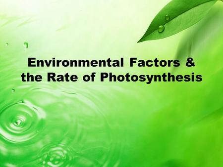 Environmental Factors & the Rate of Photosynthesis.