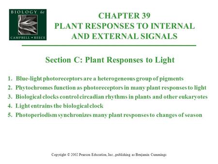 CHAPTER 39 PLANT RESPONSES TO INTERNAL AND EXTERNAL SIGNALS Copyright © 2002 Pearson Education, Inc., publishing as Benjamin Cummings Section C: Plant.