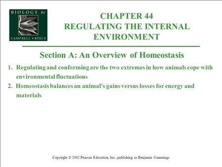 CHAPTER 44 REGULATING THE INTERNAL ENVIRONMENT Copyright © 2002 Pearson Education, Inc., publishing as Benjamin Cummings Section A: An Overview of Homeostasis.